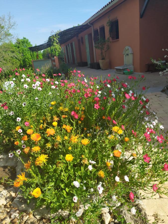 Le Mas De Balmes Vers  Exterior photo